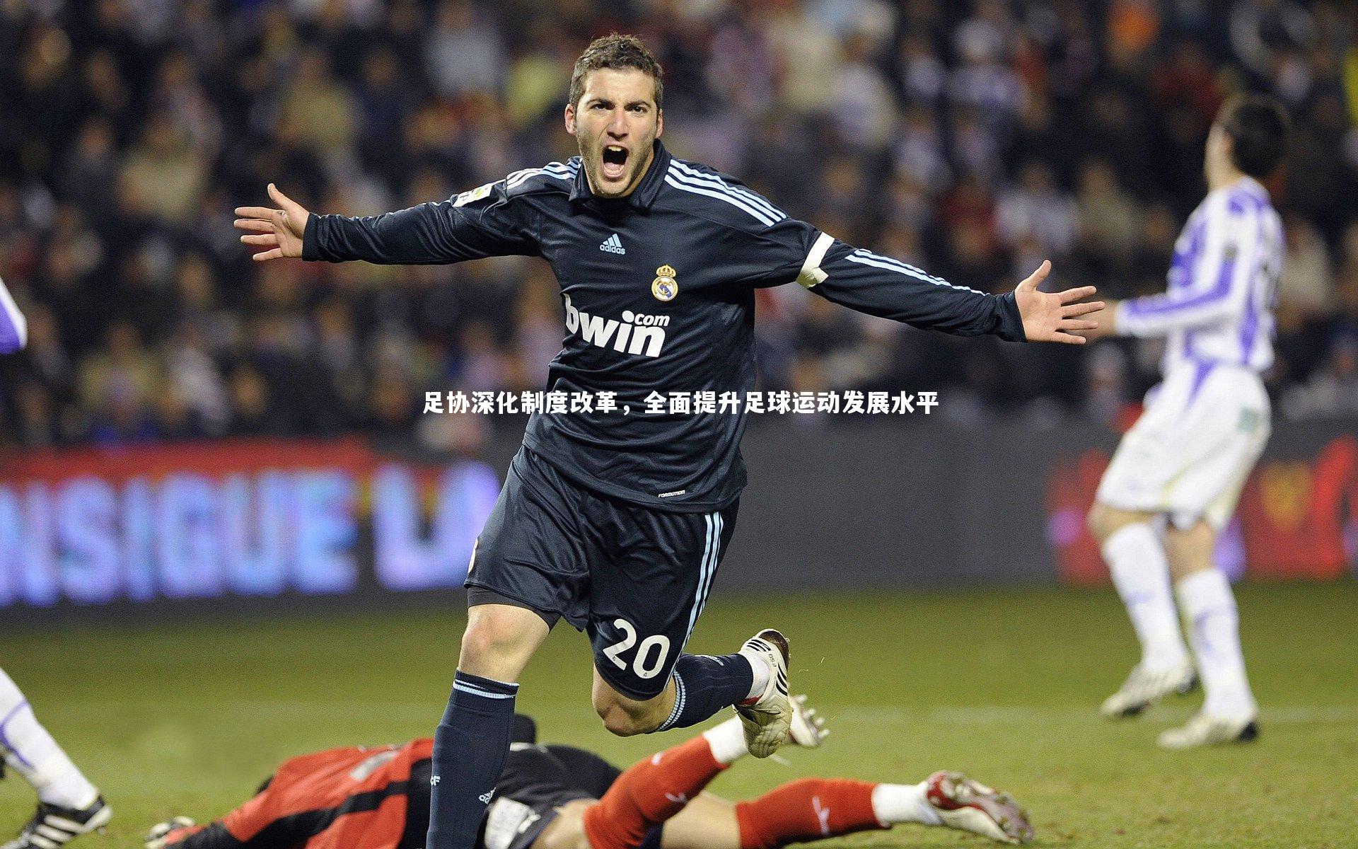 足协深化制度改革，全面提升足球运动发展水平
